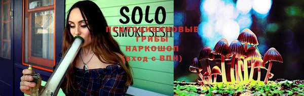 дживик Бородино