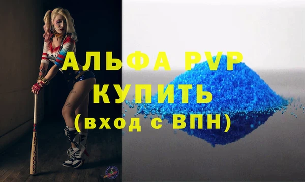 дживик Бородино