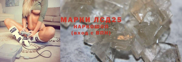 дживик Бородино