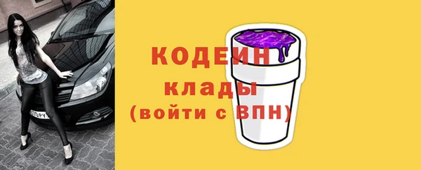 дживик Бородино