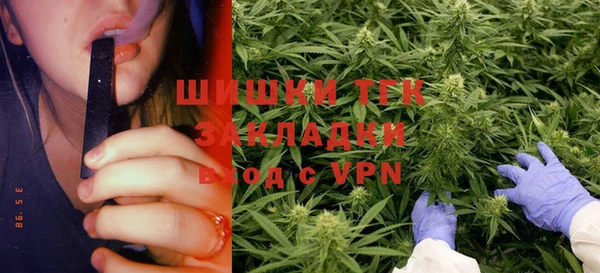 дживик Бородино