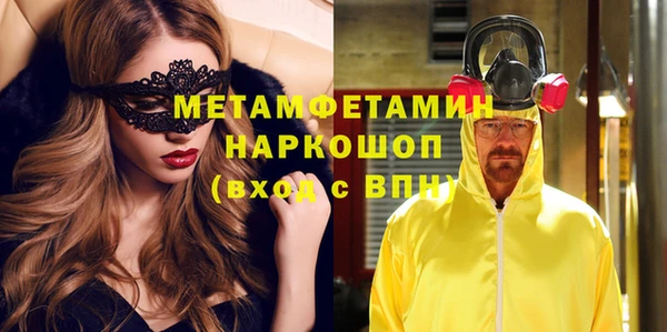 гидра Богданович