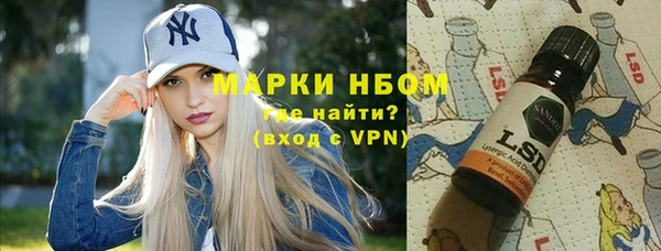 дживик Бородино