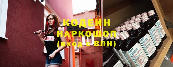 дживик Бородино
