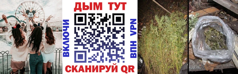 Марихуана ГИДРОПОН  OMG зеркало  Клин 